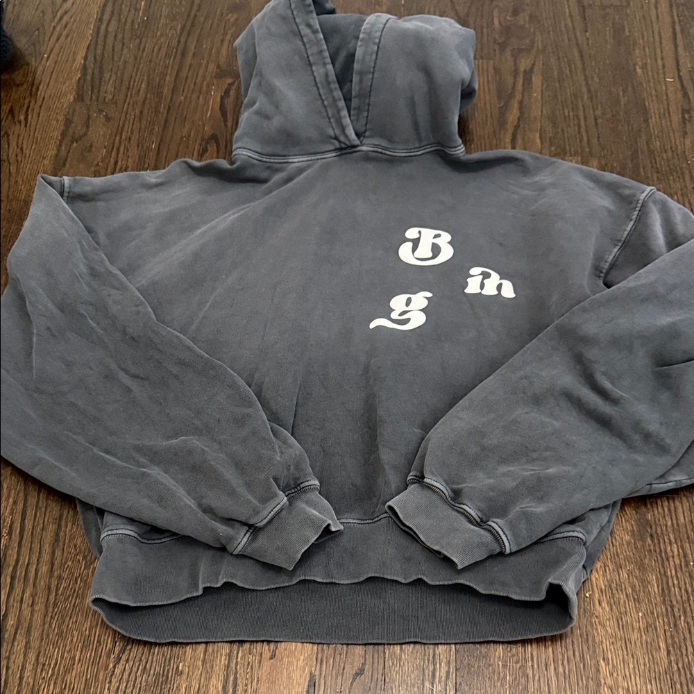 Anine bing sweatshirt